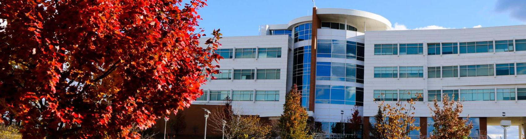 Building on campus with trees