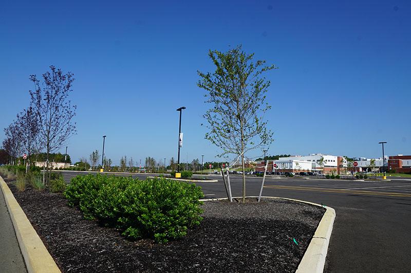 Parking Lot 2-Landscaping